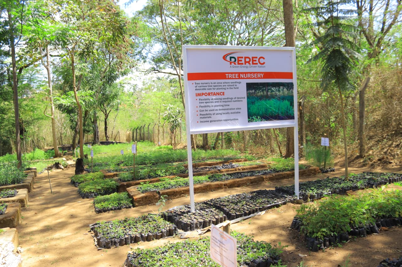 Tree Nursery